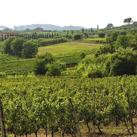 Winery - In A Tuscan Farm With Wi-fi Apartmán Montecarlo