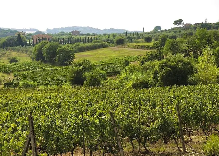 Winery - In A Tuscan Farm With Wi-fi Apartmán Montecarlo